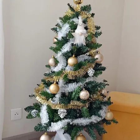 Superbe T3 Classé 3 étoiles Chez Cathy Et Frank Situé En Plein Centre De Appartamento Gérardmer